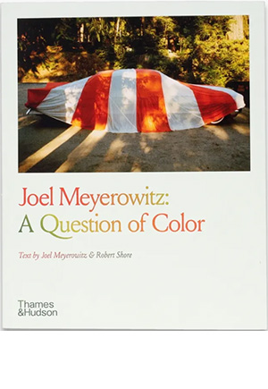 Joel Meyerowitz
